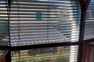 tenda-frangisole-mm-65